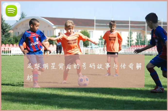 足球明星背后的号码故事与传奇解析