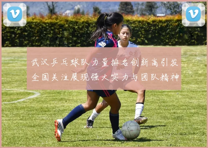 武汉乒乓球队力量排名创新高引发全国关注展现强大实力与团队精神