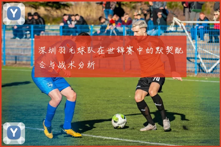 深圳羽毛球队在世锦赛中的默契配合与战术分析