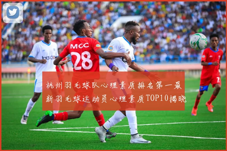 杭州羽毛球队心理素质排名第一最新羽毛球运动员心理素质TOP10揭晓