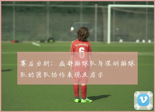 赛后分析：成都排球队与深圳排球队的团队协作表现及启示