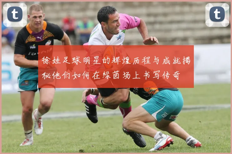 徐姓足球明星的辉煌历程与成就揭秘他们如何在绿茵场上书写传奇