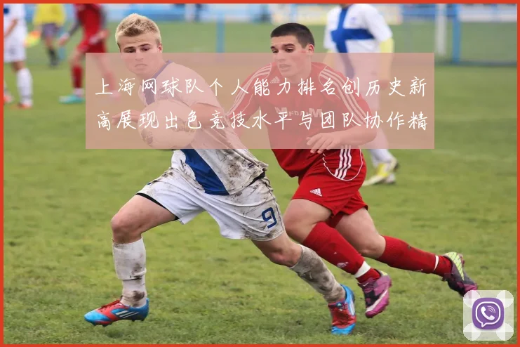 上海网球队个人能力排名创历史新高展现出色竞技水平与团队协作精神