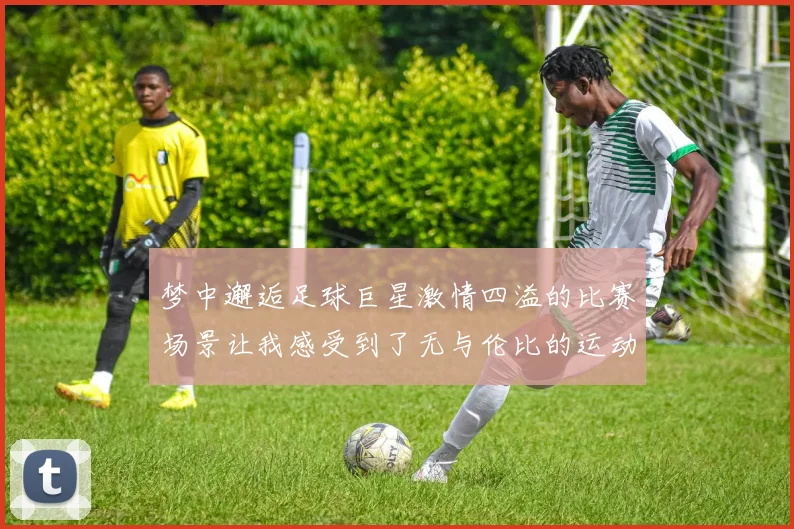 梦中邂逅足球巨星激情四溢的比赛场景让我感受到了无与伦比的运动魅力