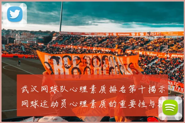 武汉网球队心理素质排名第十揭示网球运动员心理素质的重要性与挑战