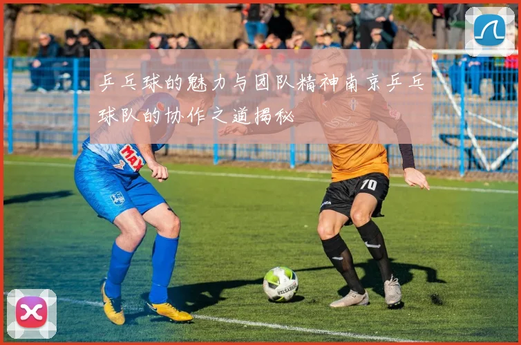 乒乓球的魅力与团队精神南京乒乓球队的协作之道揭秘