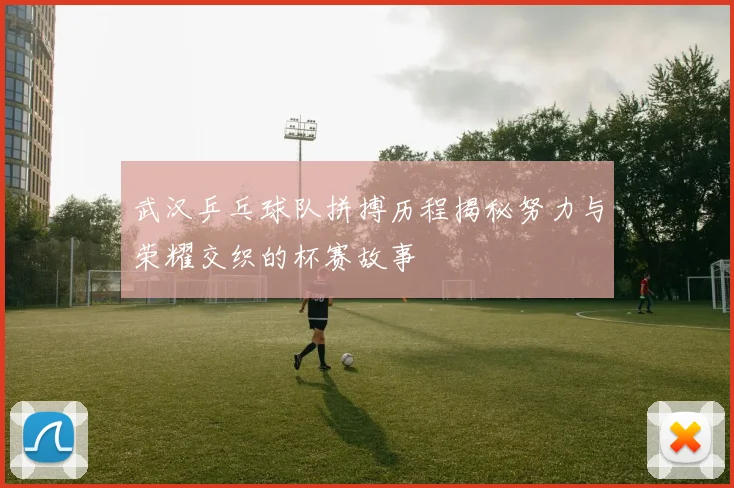 武汉乒乓球队拼搏历程揭秘努力与荣耀交织的杯赛故事